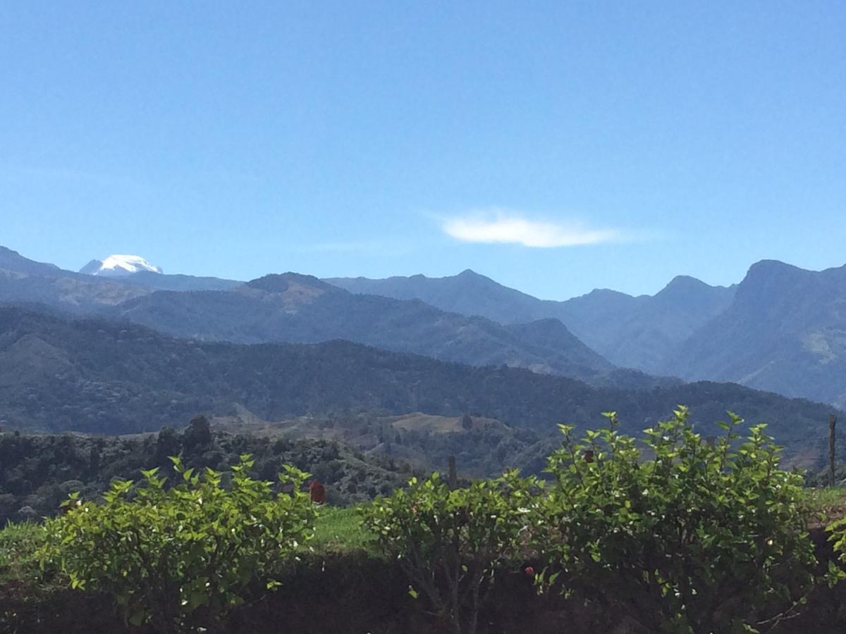 Reserva Guadalajara - Cocora Valley 酒店 Salento