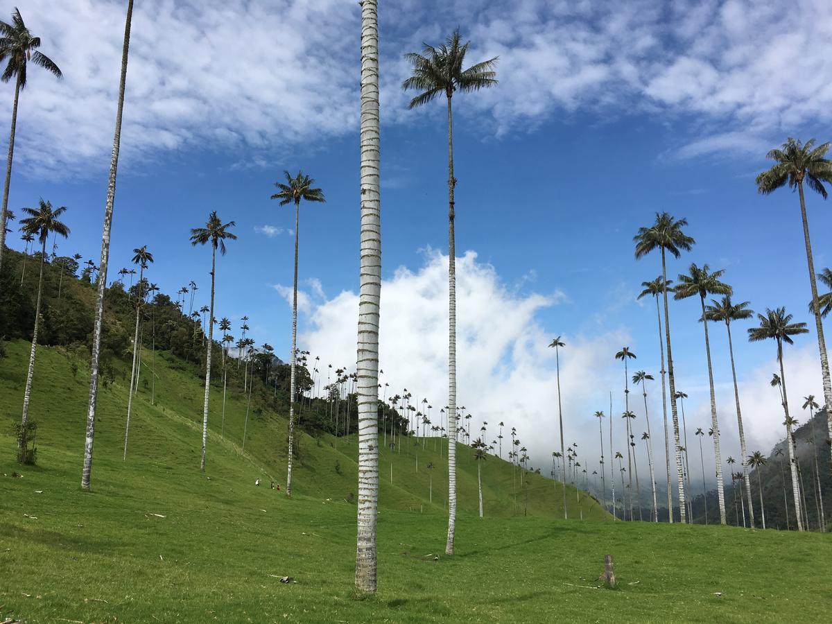 Reserva Guadalajara - Cocora Valley 酒店 5*